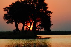 Eden Qigong Massage, Sunset on the Chobe River, Botswana Sunset
