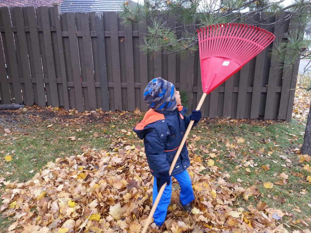 Child raking leaves in the Fall/Autumn