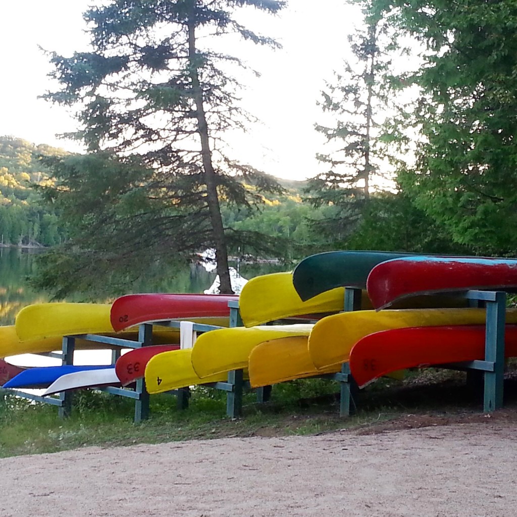 Dr Sazini- Canoes near a lake